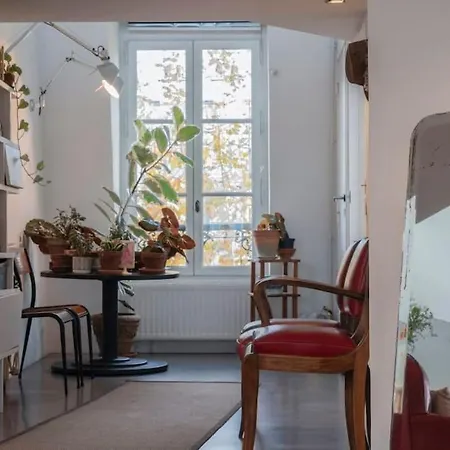 Sacre-coeur View Skylight Haven Apartment Paris